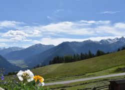 Unser Hof im Sommer