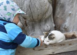 Hannes und unsere Katze